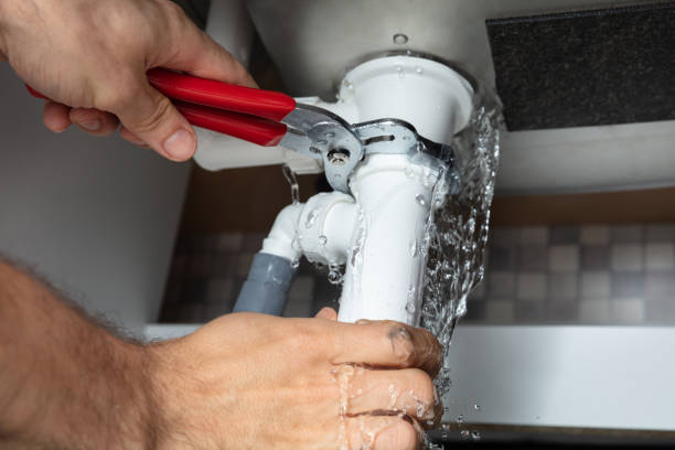 Best Mold removal after water damage  in Dodgeville, WI