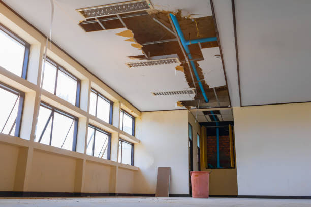Best Carpet water damage restoration  in Dodgeville, WI