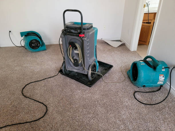 Best Water damage cleanup near me  in Dodgeville, WI
