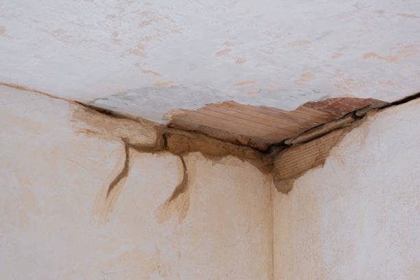 Best Local water damage restoration  in Dodgeville, WI
