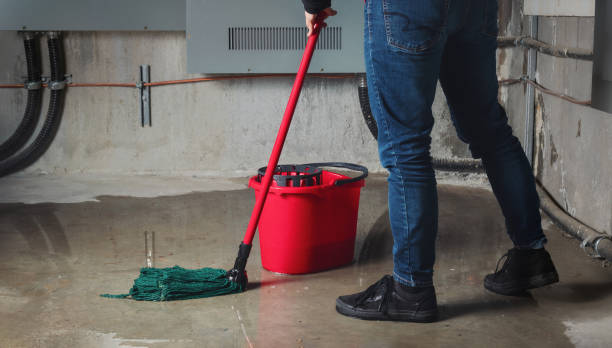 Best Flood restoration services  in Dodgeville, WI