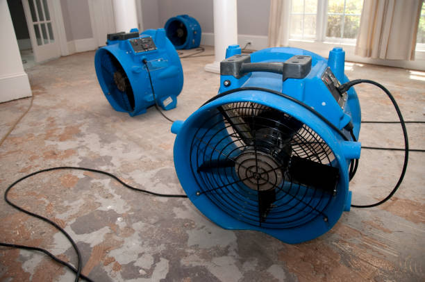 Best Basement water damage restoration  in Dodgeville, WI