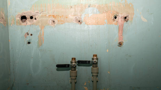 Best Water damage restoration near me  in Dodgeville, WI